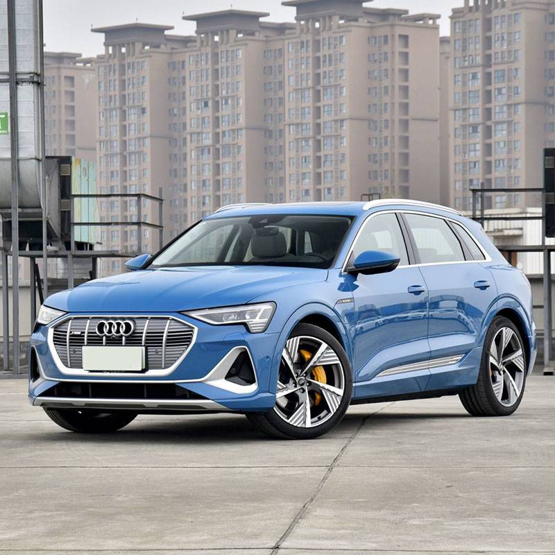 Audi e-tronum