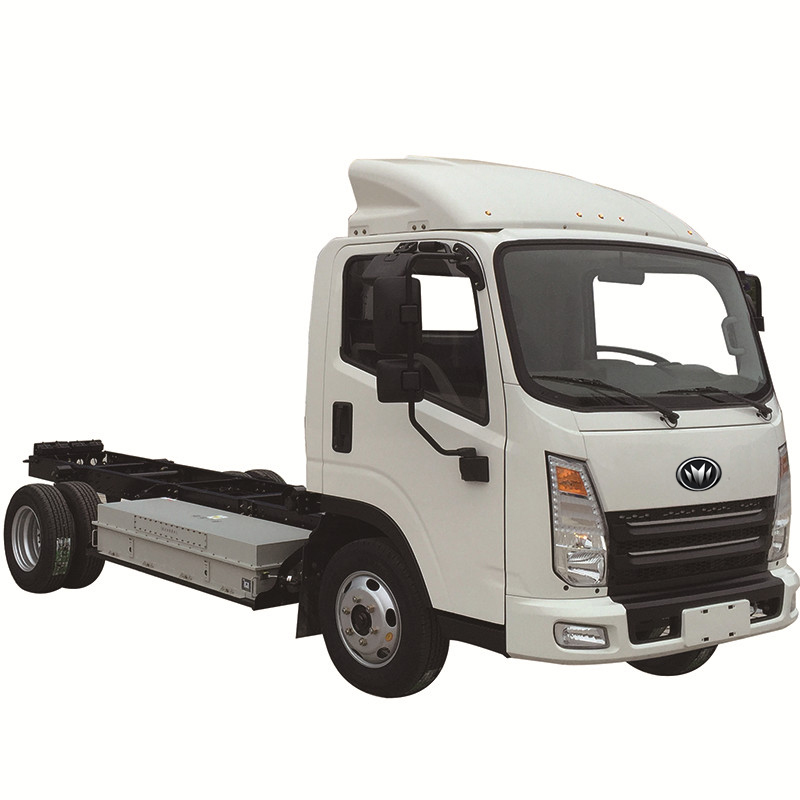 Electric Truck 5TEV